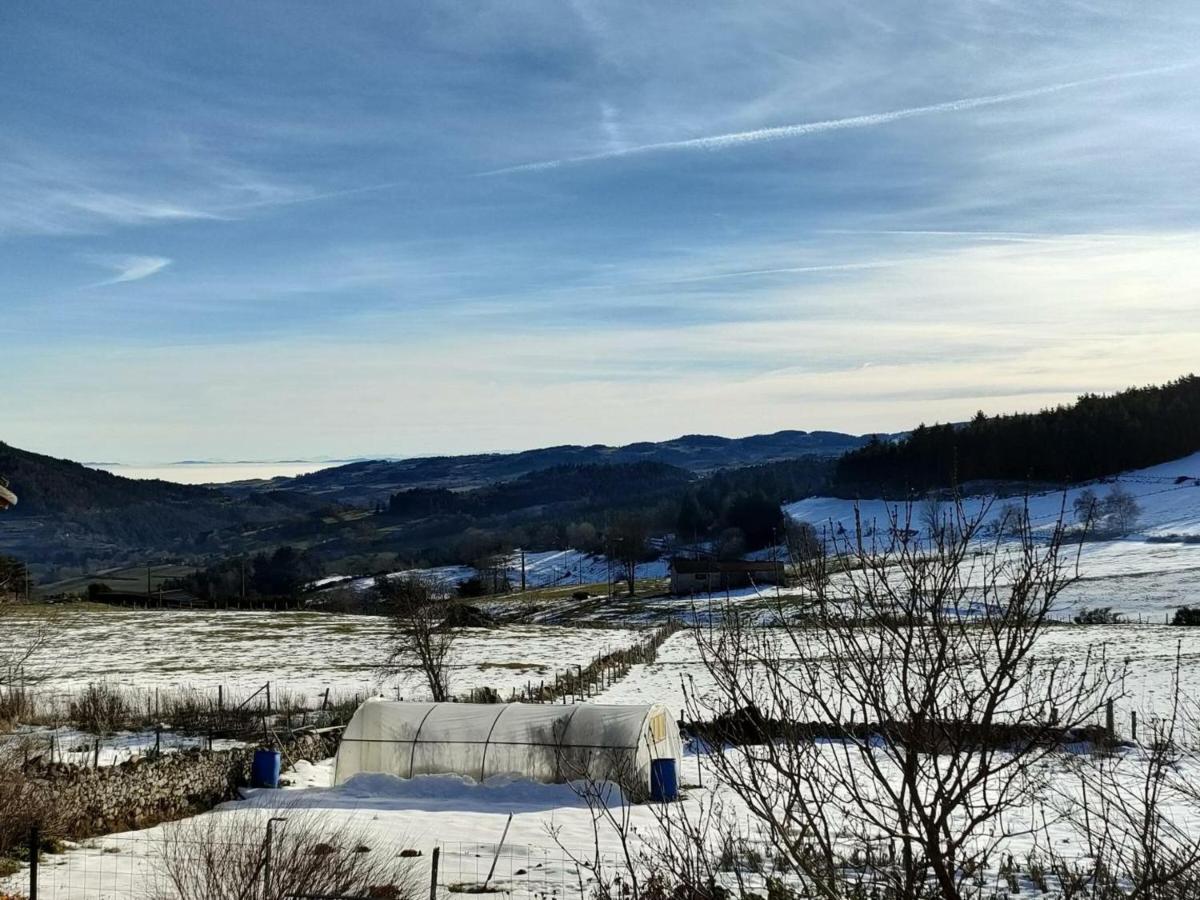 Gite De Charme Avec Jardin Et Wifi A Chalmazel-Jeansagniere - Fr-1-496-249 Exterior foto